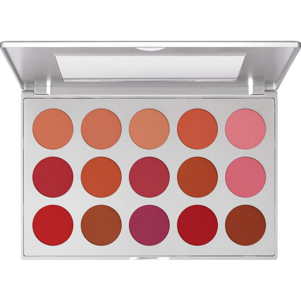 Professional Blusher Set 15 colores
