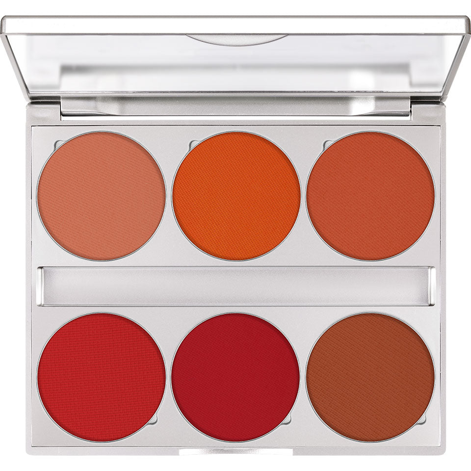 Blusher Paleta de 6 colores Lush